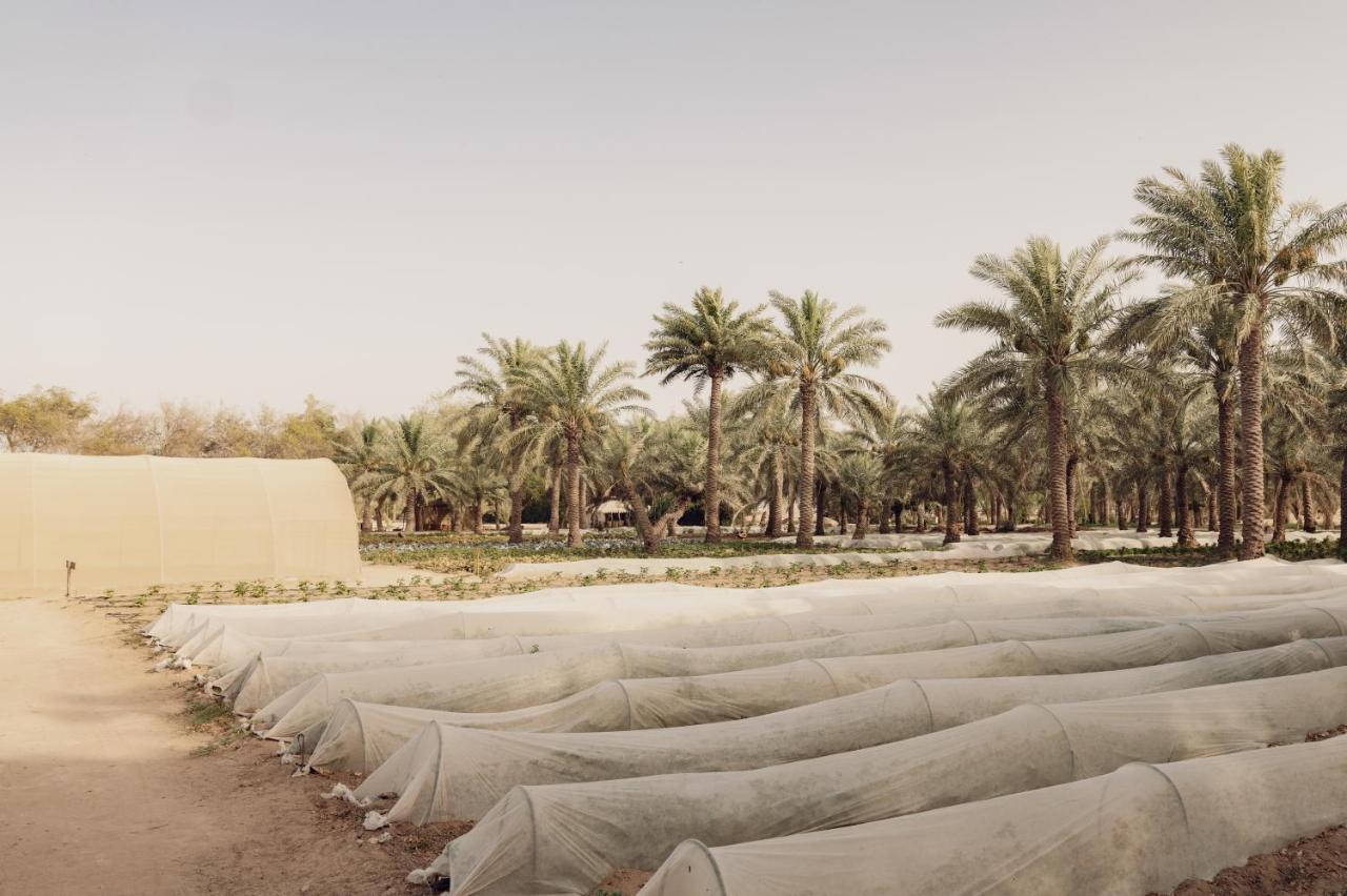 Heenat Salma Farm Ash-Shahaniyah 외부 사진